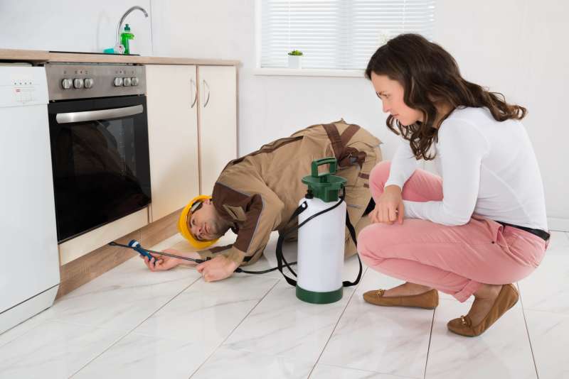 Snake Removal